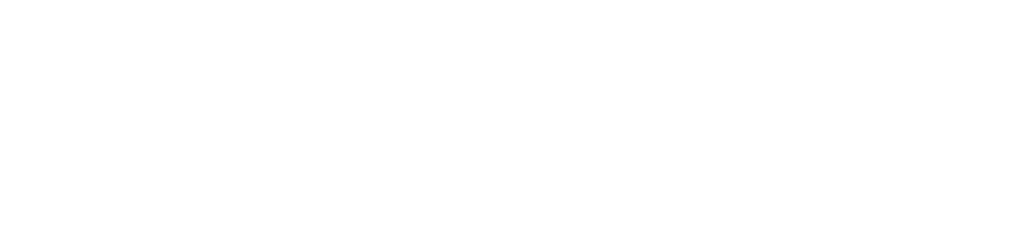 PitchWell main logo in white